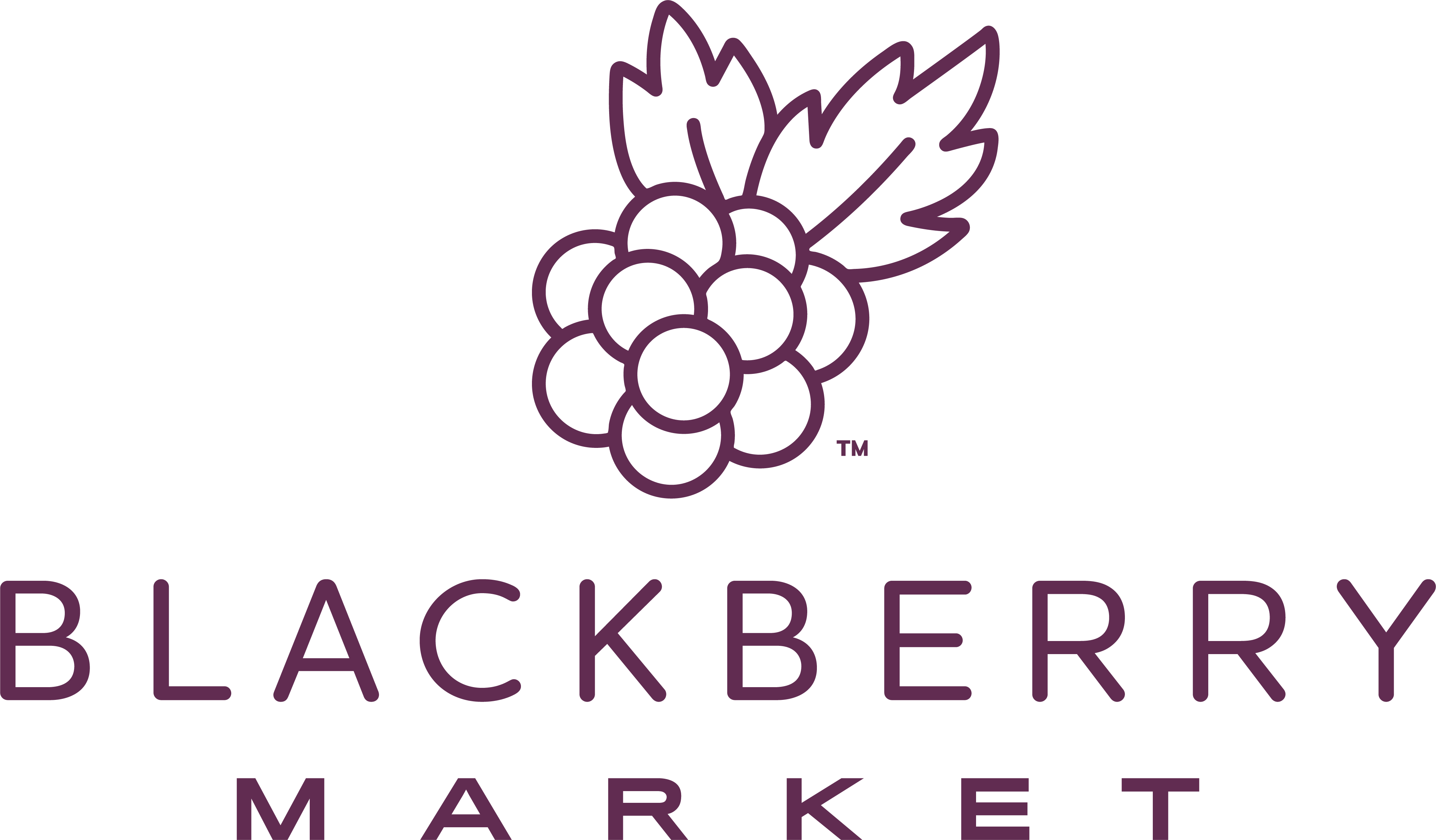 Blackberry market glen ellyn